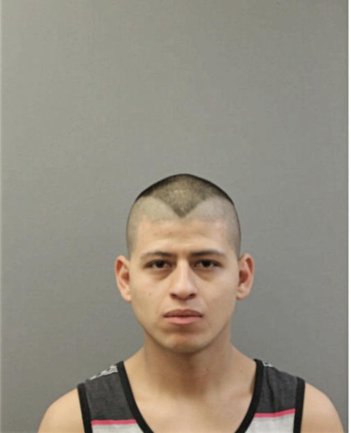 JOSE A LUGO-CHAVEZ, Cook County, Illinois