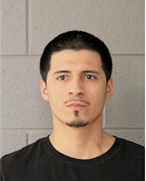 JOEL MIRANDA, Cook County, Illinois