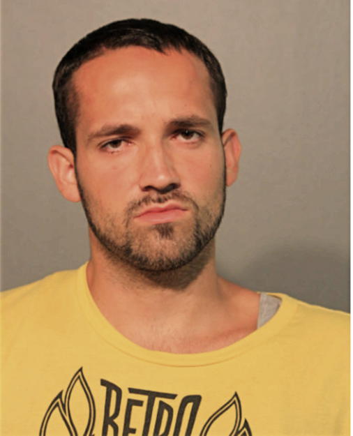 ANDREW J PAGE, Cook County, Illinois