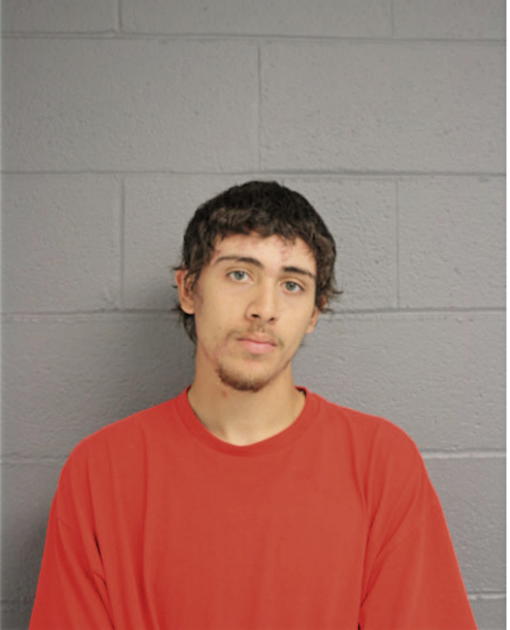 PEDRO J PEDRAZA, Cook County, Illinois