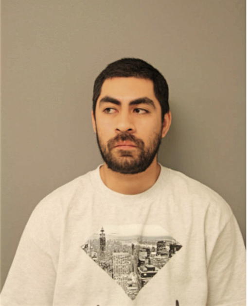 MIGUEL A ROSALES, Cook County, Illinois