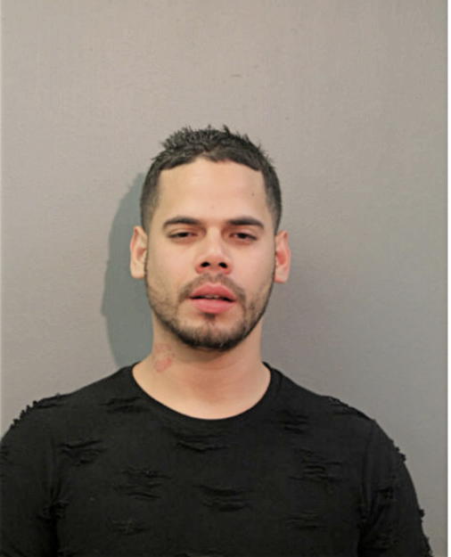 ORLANDO JOEL ROSARIO, Cook County, Illinois