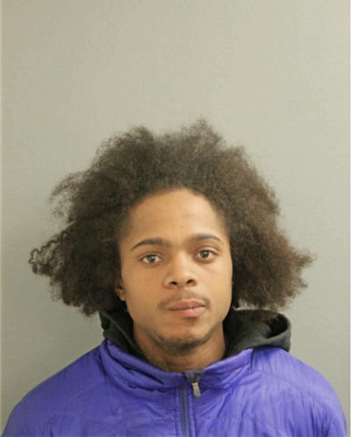 WESLEY P STOKES, Cook County, Illinois