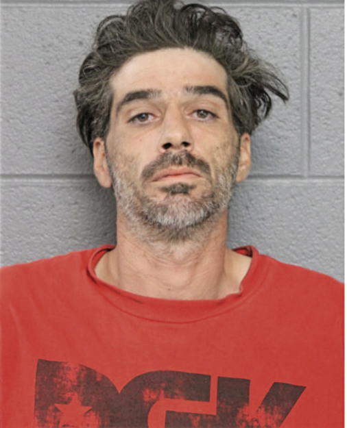 DOMINIC M UZZARDO, Cook County, Illinois