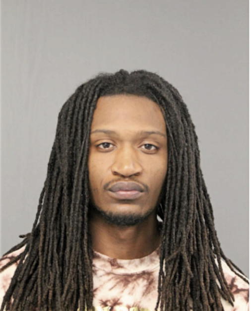 LASHAUNTIE T YOUNG, Cook County, Illinois
