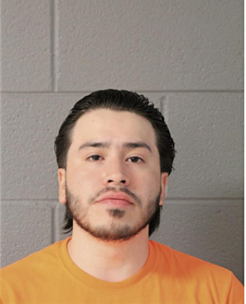 ALEXANDER ABONCE, Cook County, Illinois