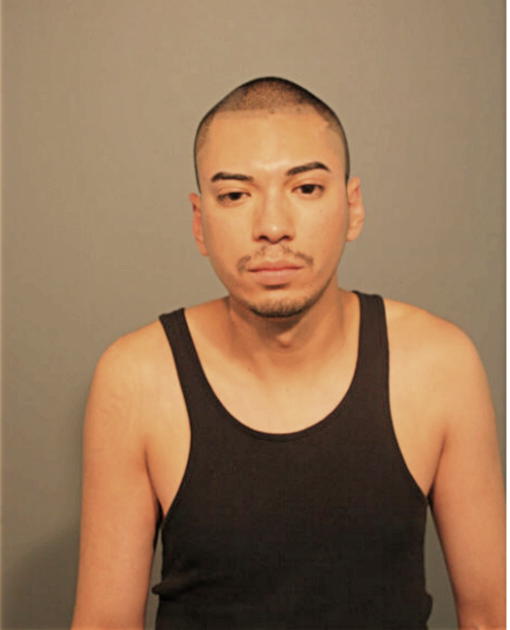 ANTHONY J ARGUETA, Cook County, Illinois