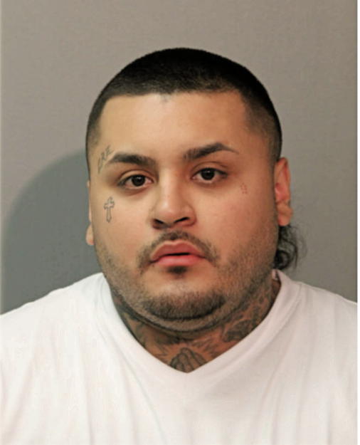 RENE S CARDONA, Cook County, Illinois