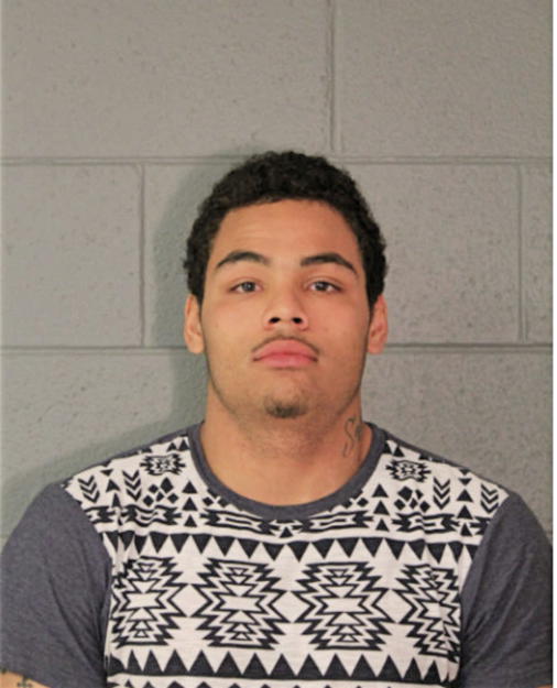 JUSTIN H CASTELLANOS, Cook County, Illinois