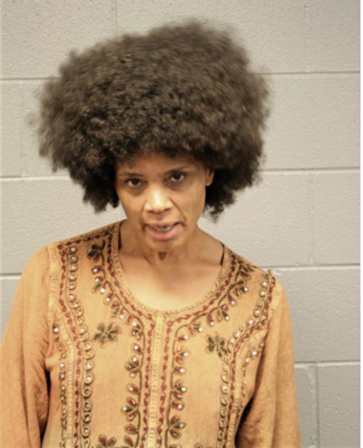 KARLA L CLARK, Cook County, Illinois
