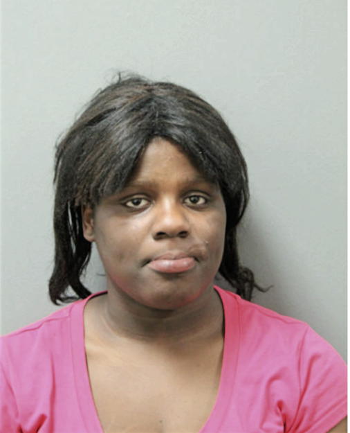 BRIANA FERGUSON, Cook County, Illinois