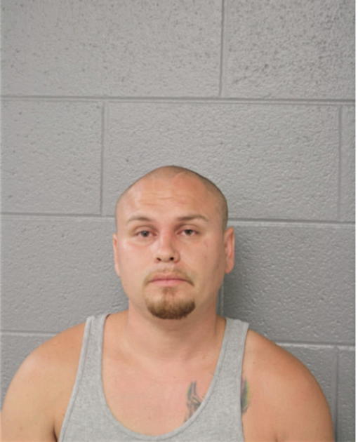 STEFAN R GIMINSKI, Cook County, Illinois