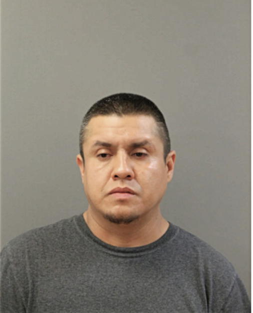 JOSE L GONZALEZ, Cook County, Illinois