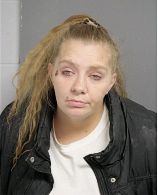 JANICE M HANSON, Cook County, Illinois