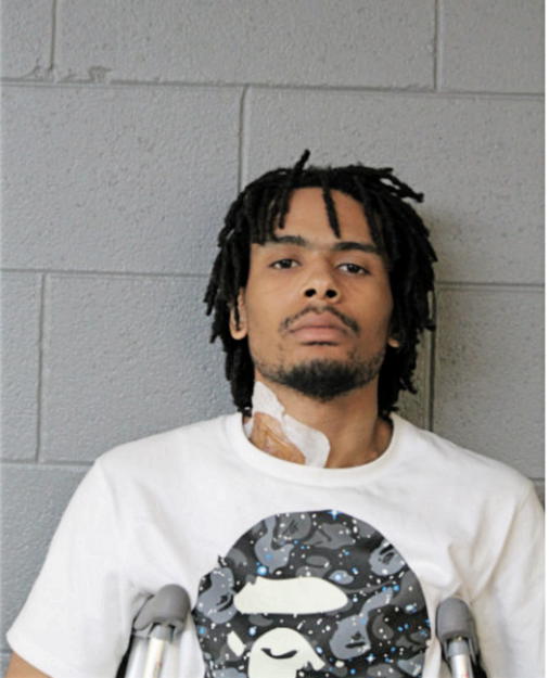 MARRSAAY HOLMAN, Cook County, Illinois