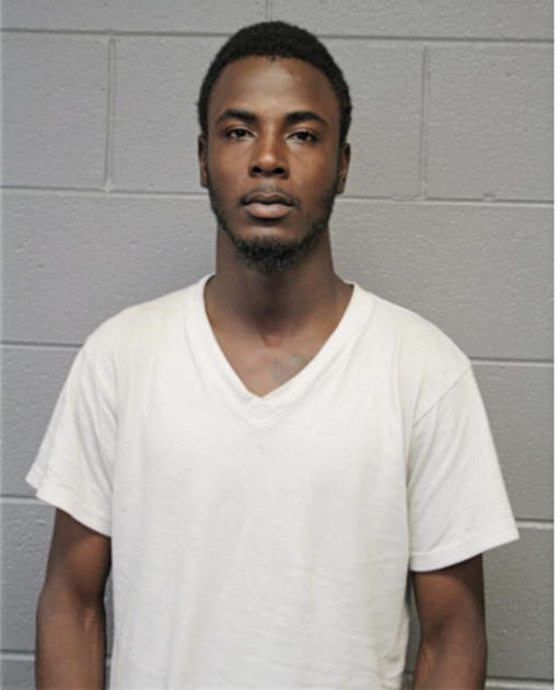 LEANDREW D JOHNSON, Cook County, Illinois