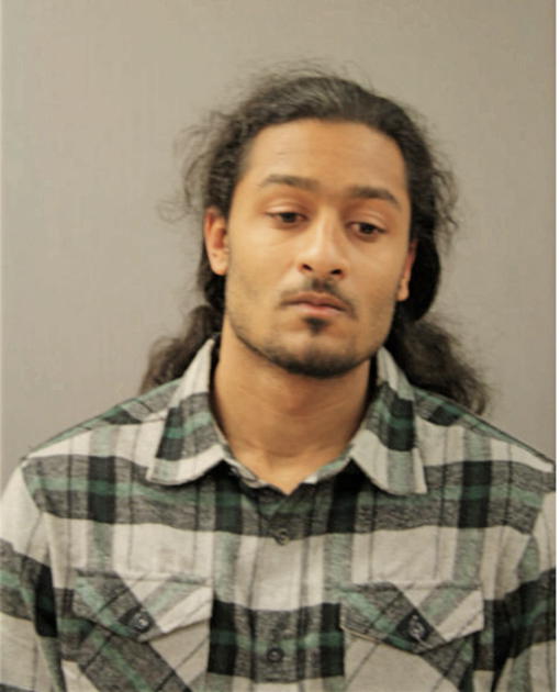 REGGIE L JOHNSON, Cook County, Illinois