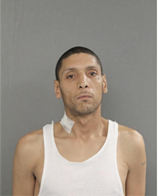 LUIS A LEBRON, Cook County, Illinois