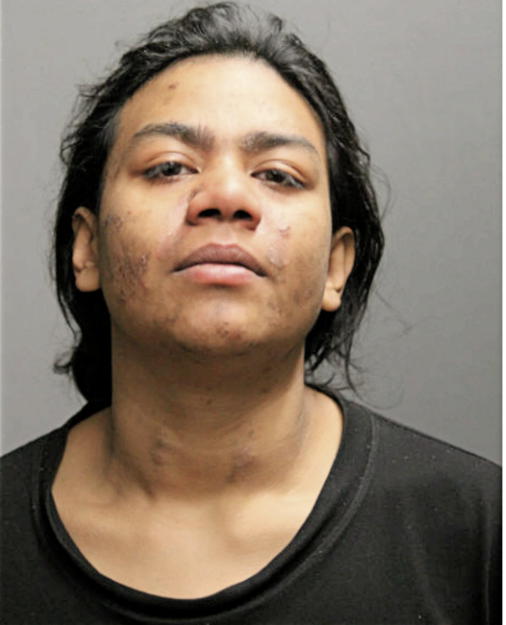 ANNETTE LEDESMA, Cook County, Illinois