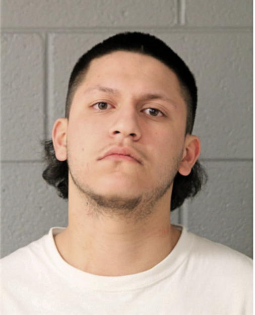 JOELL E MALDONADO, Cook County, Illinois
