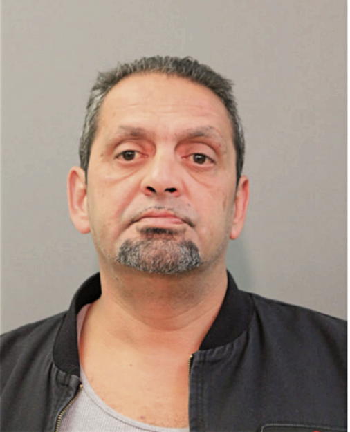 LUIS E MALDONADO, Cook County, Illinois