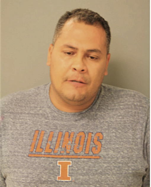 ENRIQUE A MEDINA, Cook County, Illinois