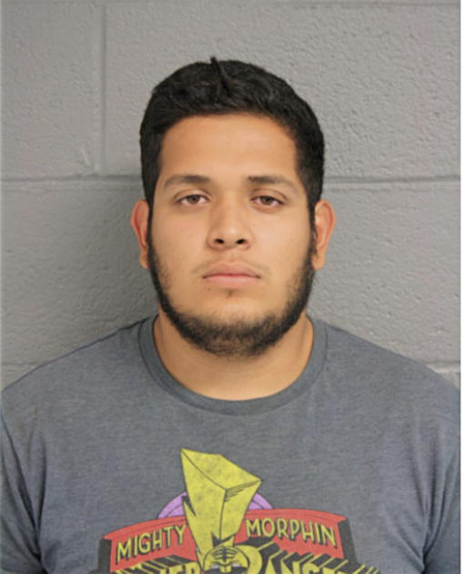 ARIEL JR NAVA, Cook County, Illinois
