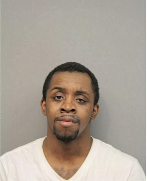 RYAN C RILEY, Cook County, Illinois