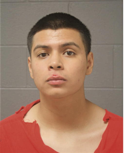 FERNANDO ROMANO, Cook County, Illinois