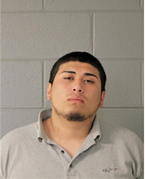 MICHAEL SIERRA, Cook County, Illinois