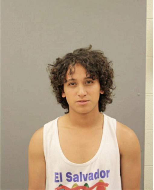 PEDRO L TOVAR, Cook County, Illinois