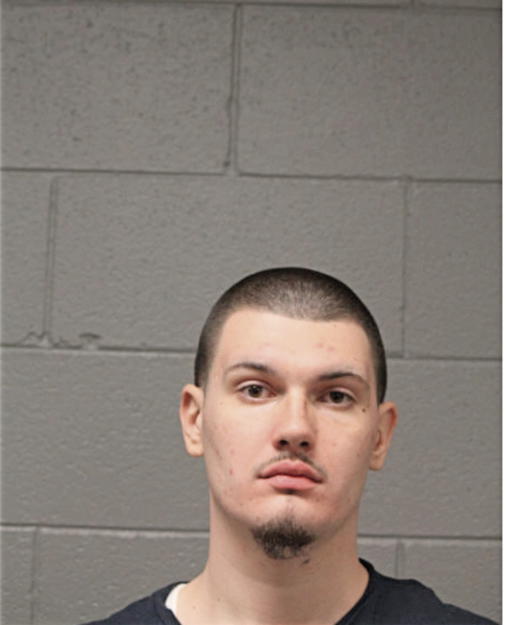 ADNAN VOJIC, Cook County, Illinois