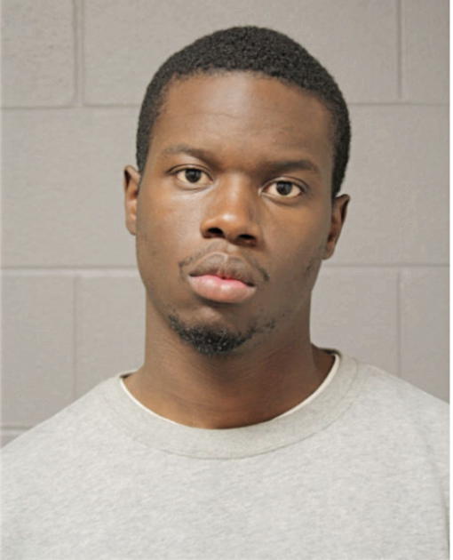 BRADLEY D WILSON, Cook County, Illinois