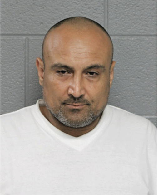 MAZEN K A FIALA, Cook County, Illinois
