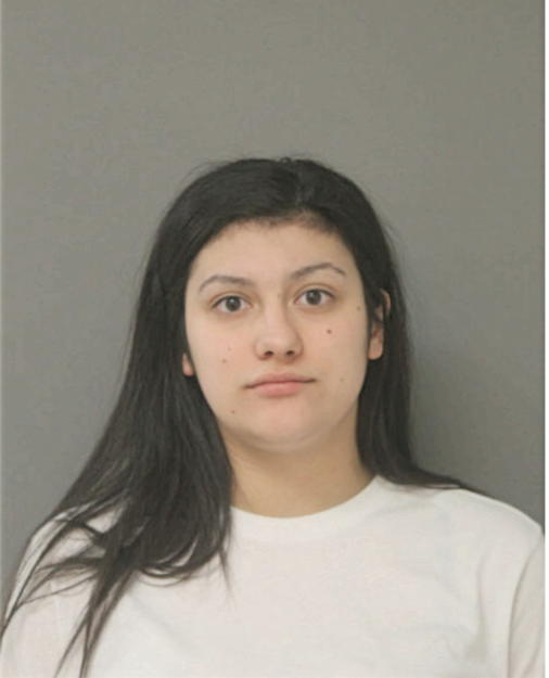 JOANNE L ABERNATHY, Cook County, Illinois