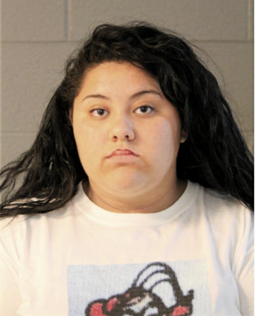 IVELLISE M ALVARADO, Cook County, Illinois