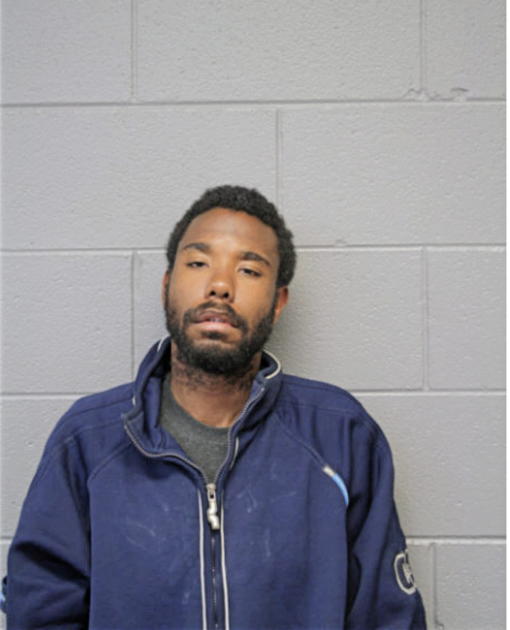 ANTHONY G ANDERSON, Cook County, Illinois