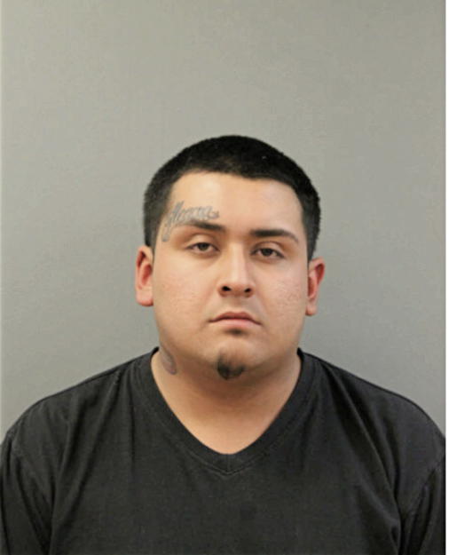 JOSE LUIS ARELLANO, Cook County, Illinois