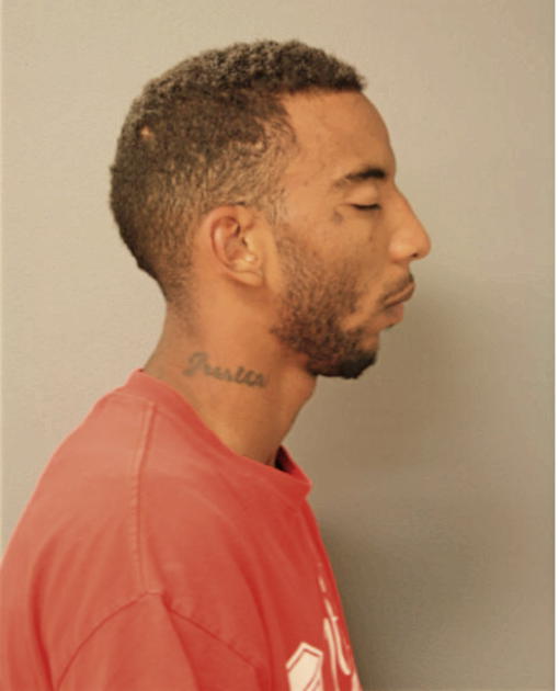 ANTON ASEVES, Cook County, Illinois