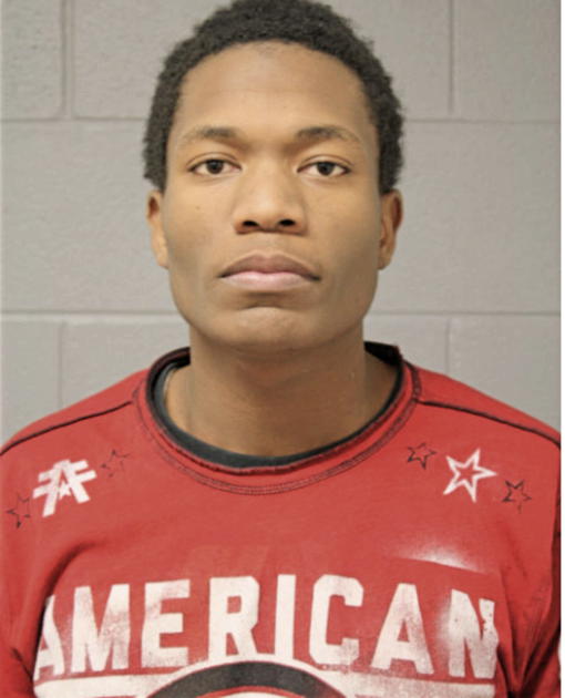 RYAN C BARNES, Cook County, Illinois