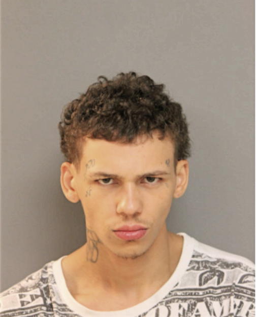 TRENT T BROWN, Cook County, Illinois