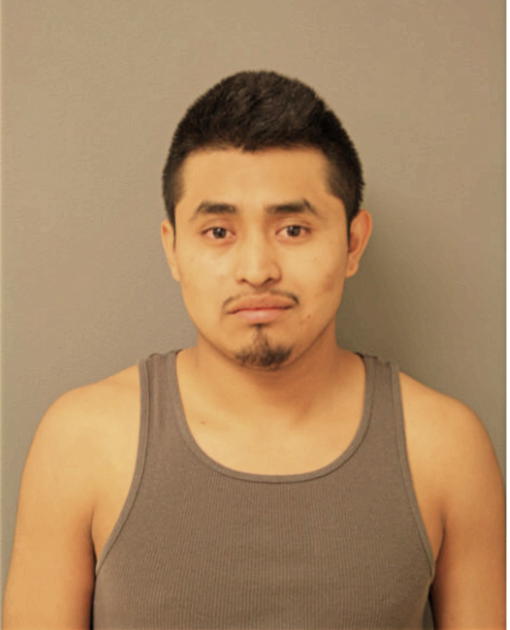 ROGELIO CARLOS, Cook County, Illinois