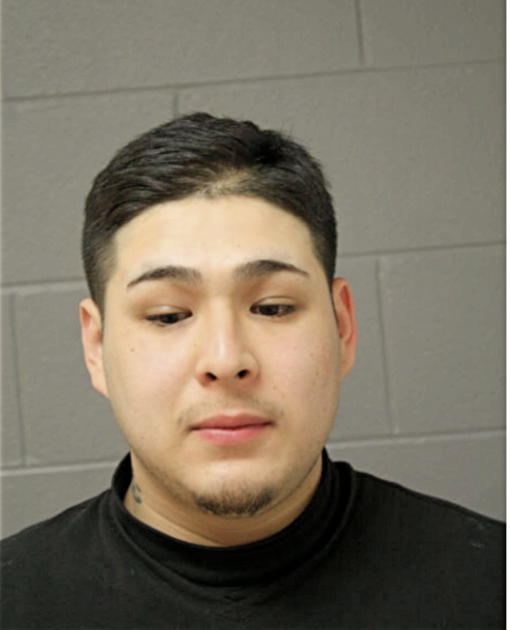 DAVID J CASTILLO, Cook County, Illinois