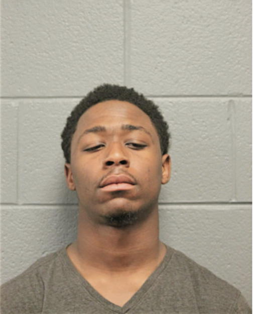 DAVID J DAVIS, Cook County, Illinois