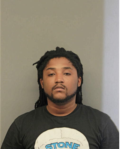 NATHANIEL W HICKS, Cook County, Illinois