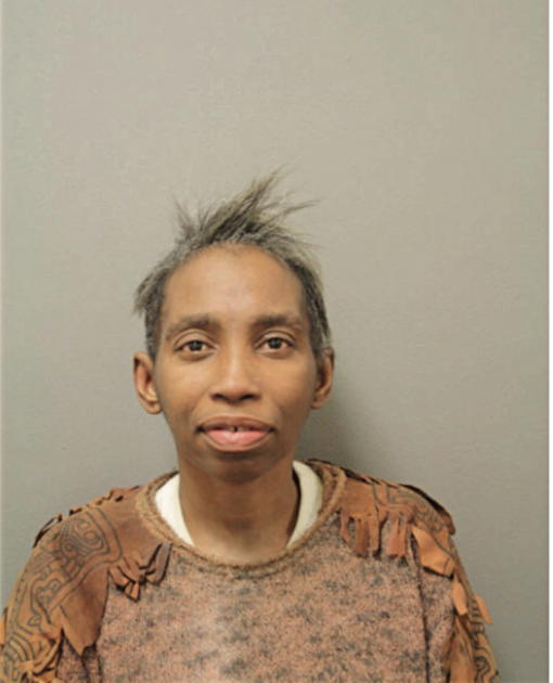 TONYA M LANG, Cook County, Illinois