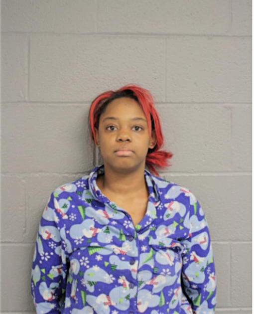 ASHLEY E LEWIS, Cook County, Illinois