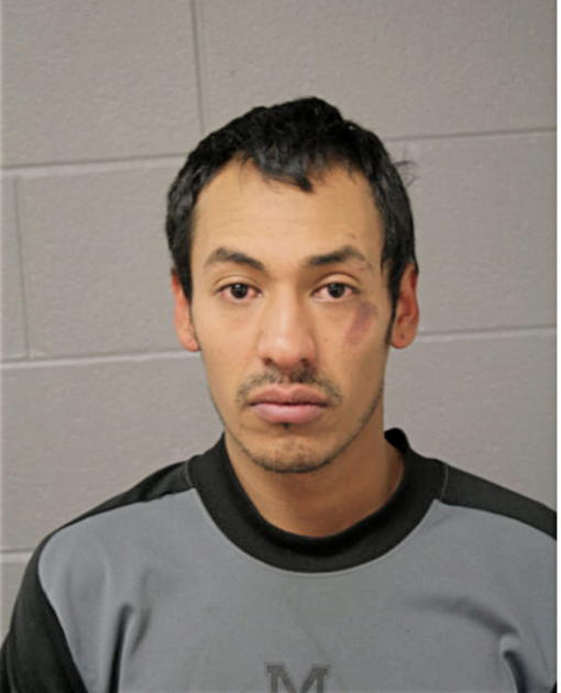 SERGIO LOPEZ-NIETO, Cook County, Illinois