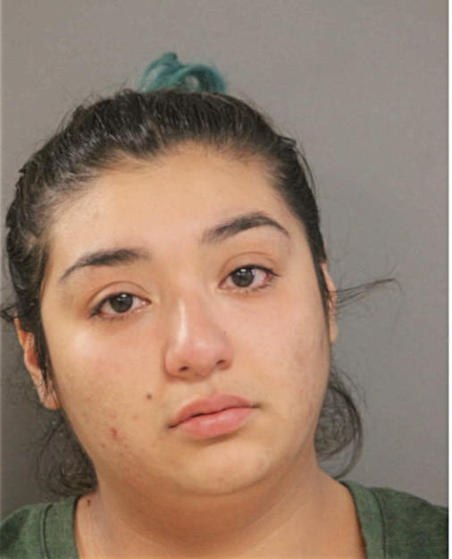 DIANA NAVA, Cook County, Illinois