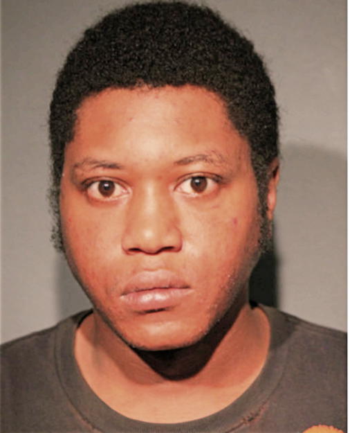 DIONTE L NORMAN, Cook County, Illinois